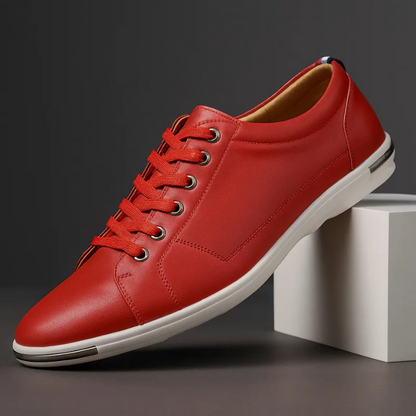 Sulevan Leather Shoes