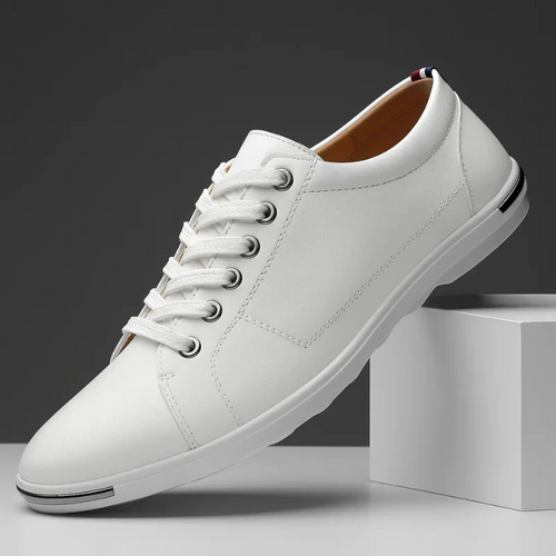 Sulevan Leather Shoes